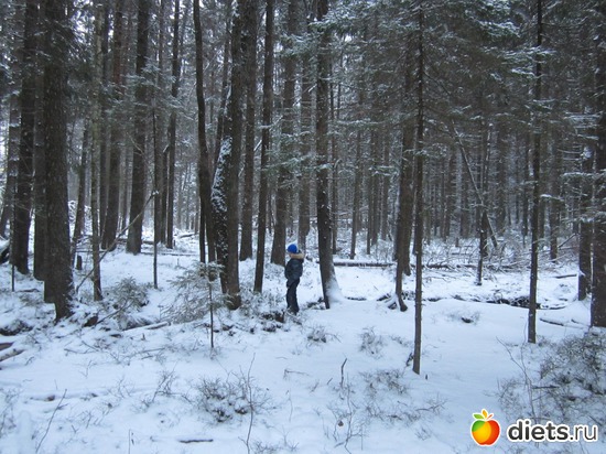 34 ����: ���� ���������