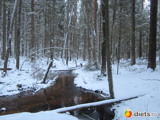 35 ����: ���� ���������