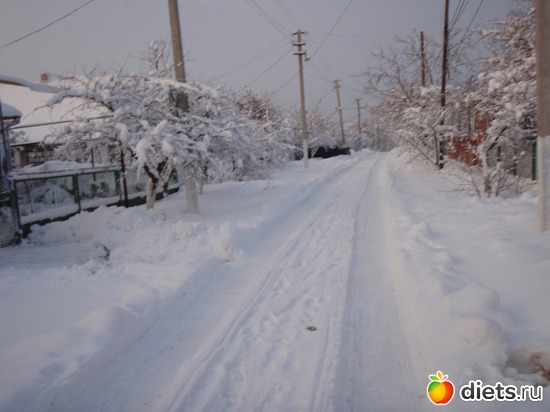 1 ����: ����