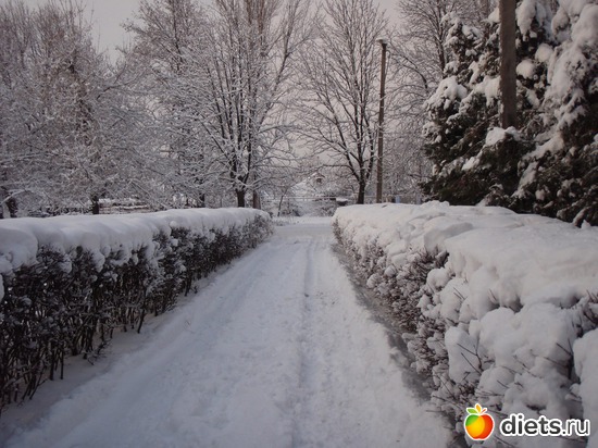 2 ����: ����