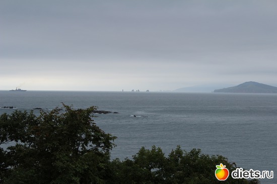 2 фото: Природа