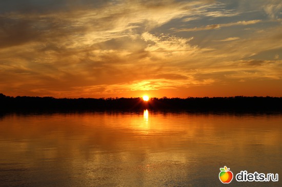 4 фото: Природа