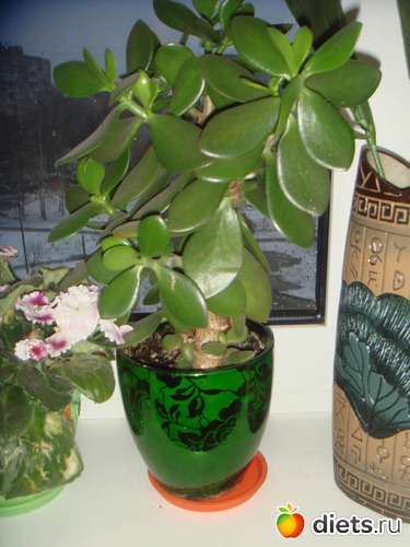 73 фото: Вкусная еда