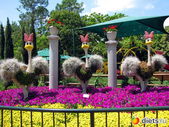 15 фото: Зеленые скульптуры