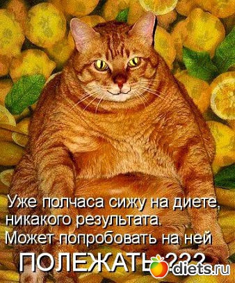 ����, �� ���! (2)