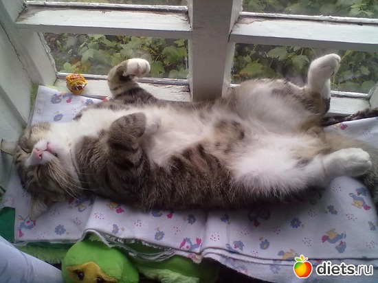 ��� ������ � �������)))), ������: �����������