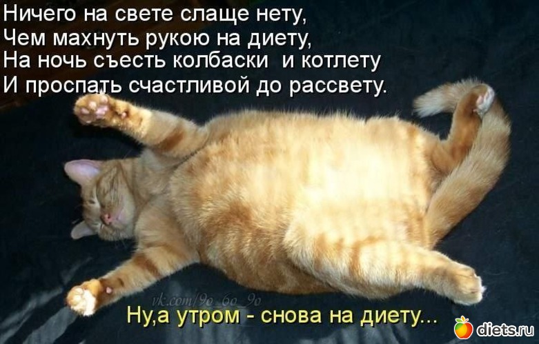 3 ����: ��������)))))