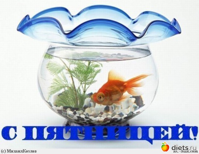 29 ����: ��������