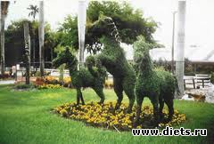 Зеленые скульптуры