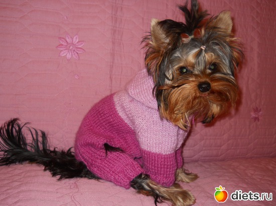 5 фото: Моё рукоделие...