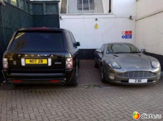 102 ����: ��� ������