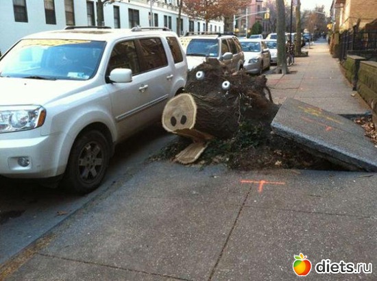 111 ����: ��� ������