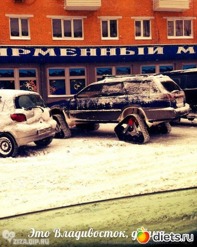 113 ����: ��� ������