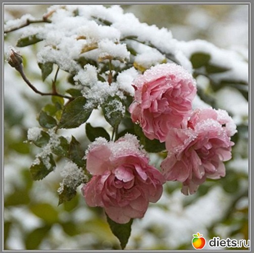 2 ����: ���� � �����