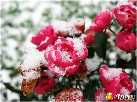 3 ����: ���� � �����