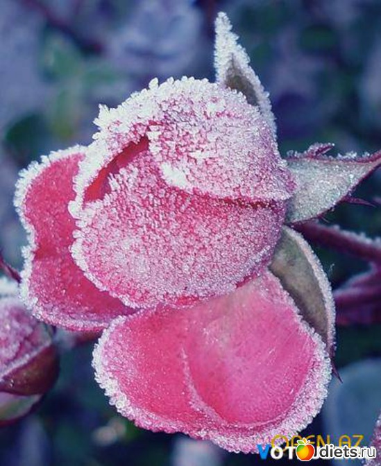 4 ����: ���� � �����