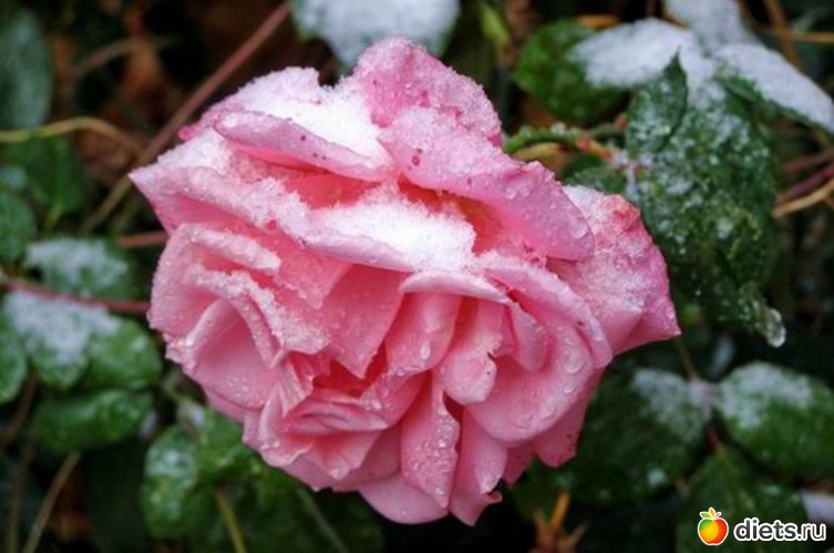 5 ����: ���� � �����