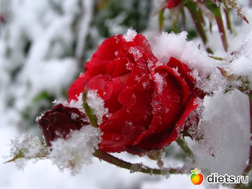 ���� � �����