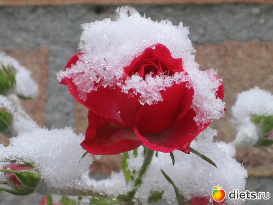 8 ����: ���� � �����