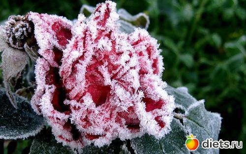 ���� � �����