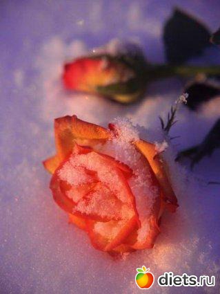 ���� � �����