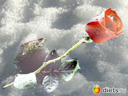 ���� � �����