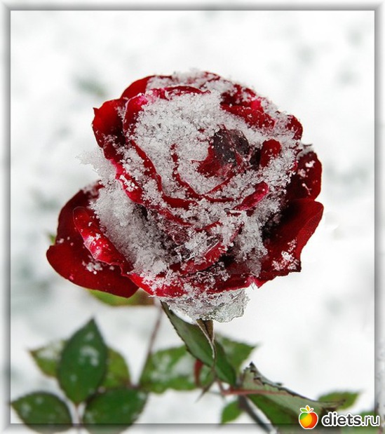 16 ����: ���� � �����