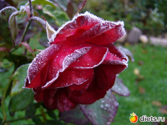 17 ����: ���� � �����