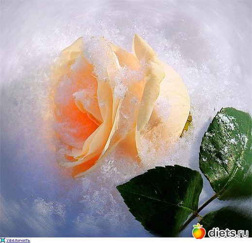 18 ����: ���� � �����