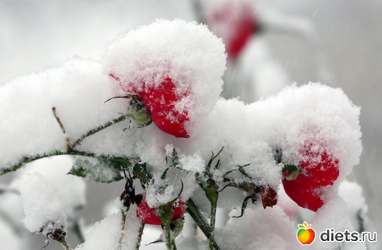 20 ����: ���� � �����