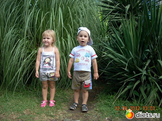 4 ����: ���� ���� � �����������