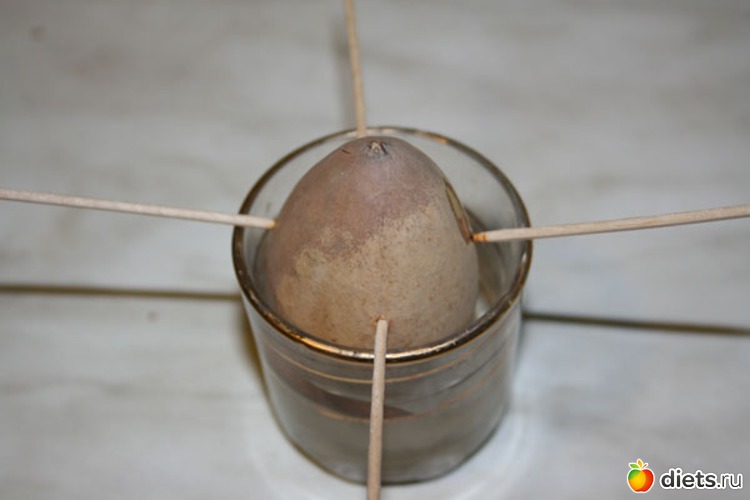 ������� 16.12.2012, ������: �������