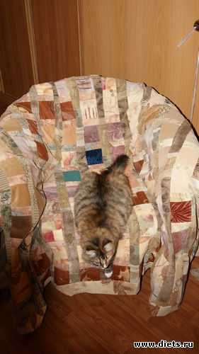 13 фото: разное