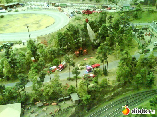 28 ����: ����� ����� ������