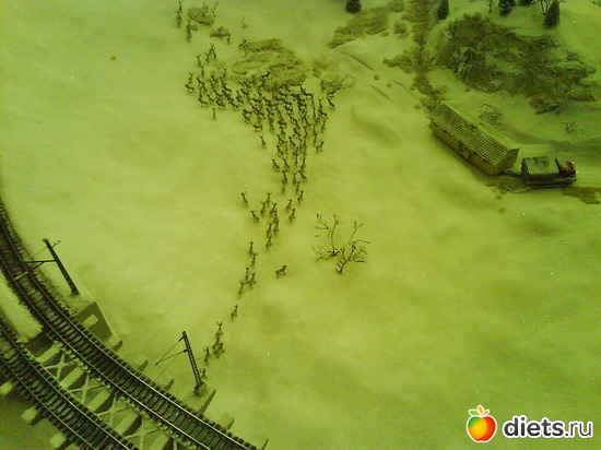 33 ����: ����� ����� ������