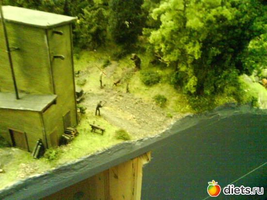 41 ����: ����� ����� ������