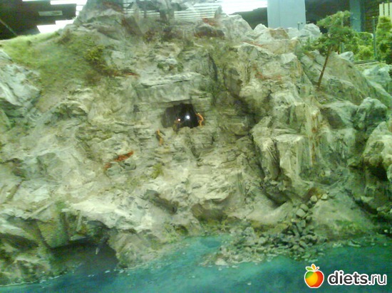 44 ����: ����� ����� ������