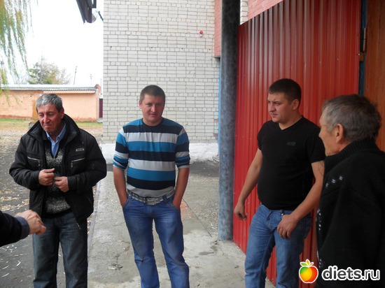 7 ����: ��� ������