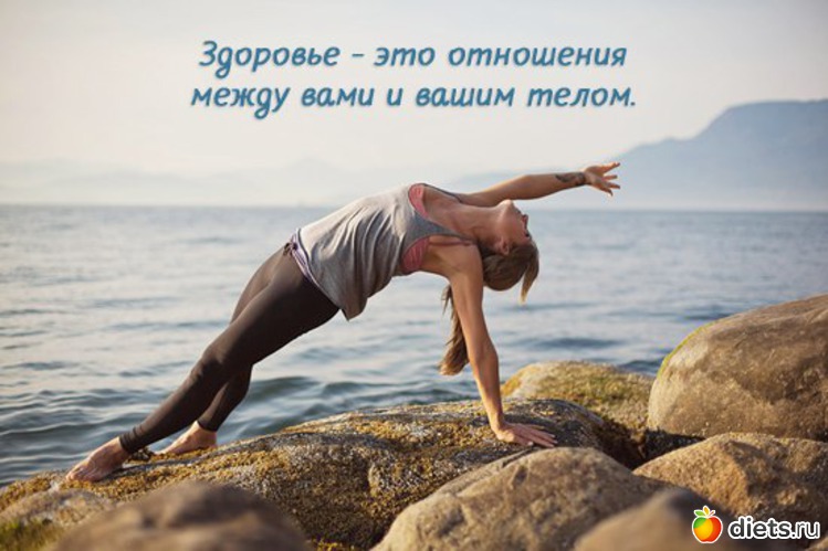 275 ����: ���������