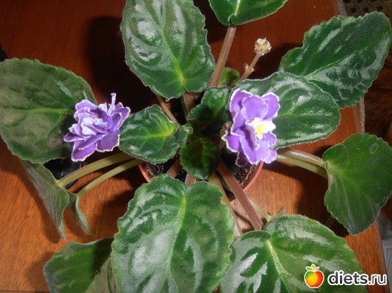 5 фото: хобби