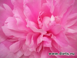 ��� ������