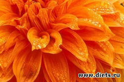 ��� ������