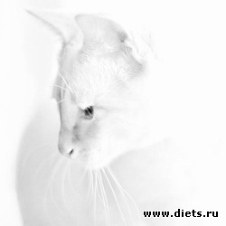 ��� ������