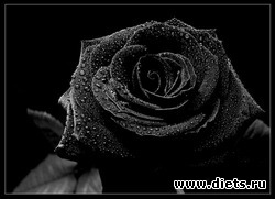 ��� ������