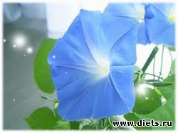 ��� ������