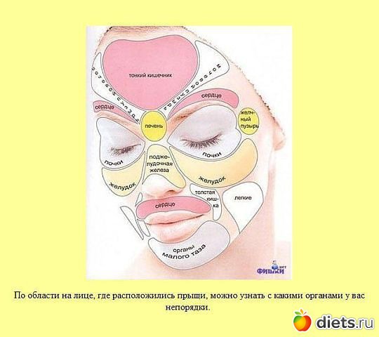 Лена, не жри! (2)