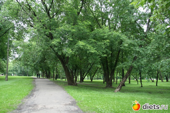 5 ����: ���������