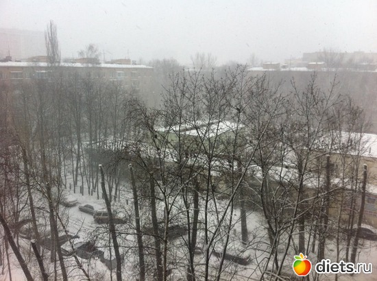 7 ����: ���������