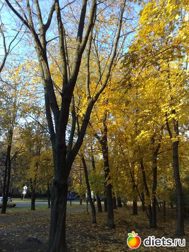 12 ����: ���������