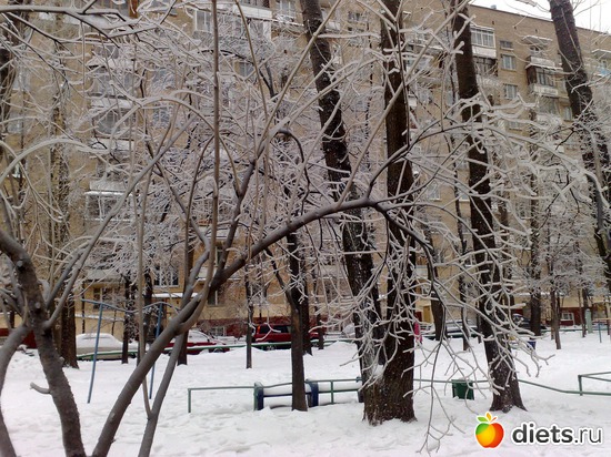 14 ����: ���������